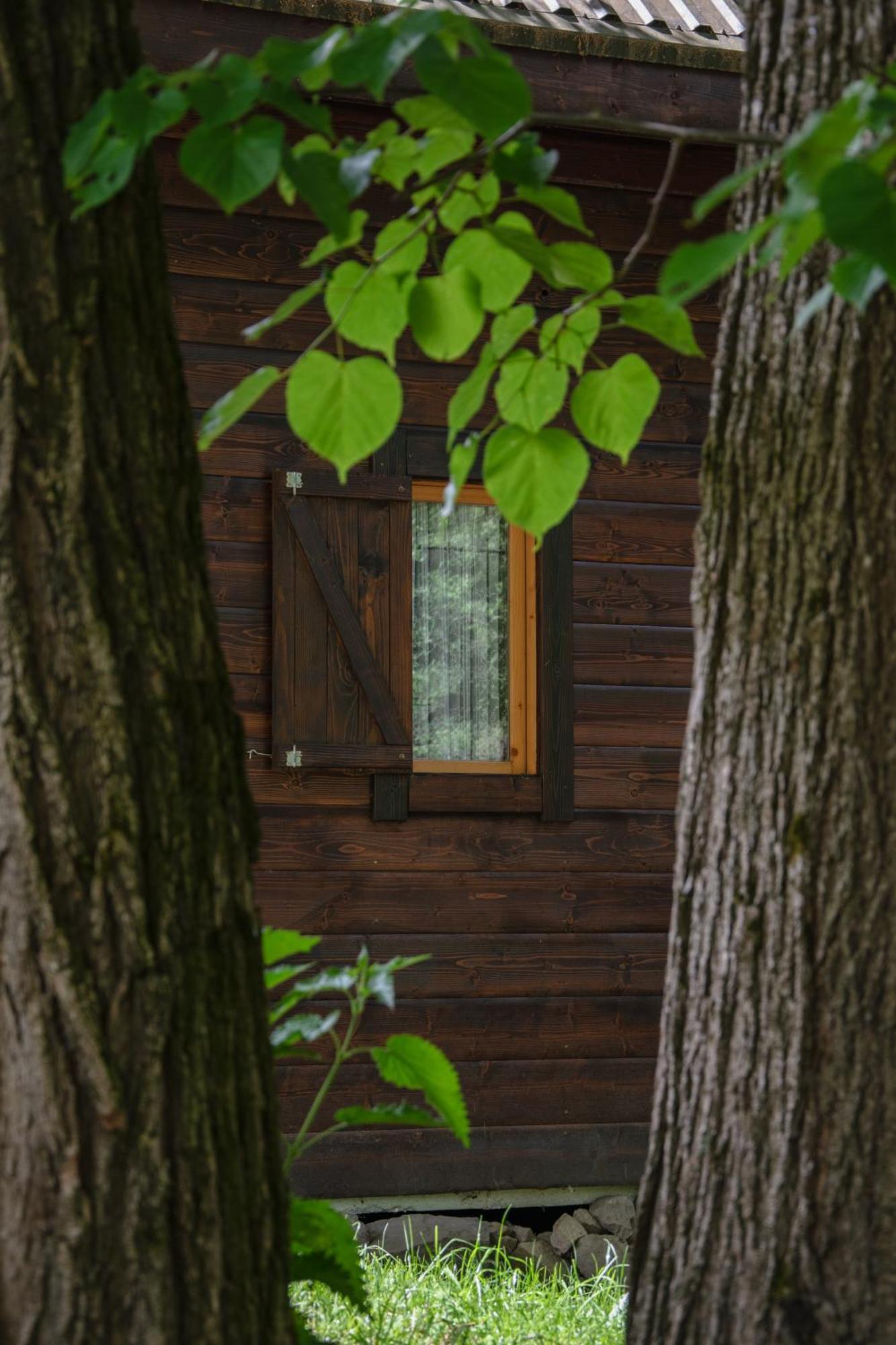 Domek Mysliwski W Gorach Ujsoły Extérieur photo